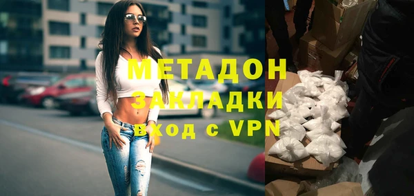 стаф Алзамай
