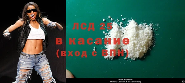 стаф Алзамай
