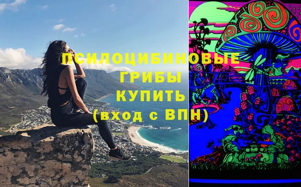 стаф Алзамай