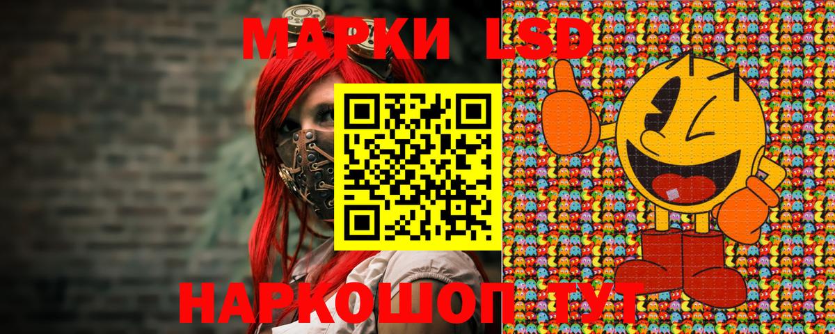 где купить наркоту  Наркотические марки 1,5мг  Вход с VPN  Наркотические марки 1,5мг  Братск 