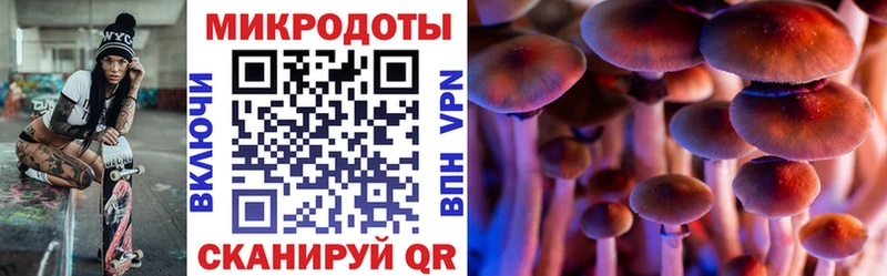 продажа наркотиков  Братск  Псилоцибиновые грибы мухоморы 