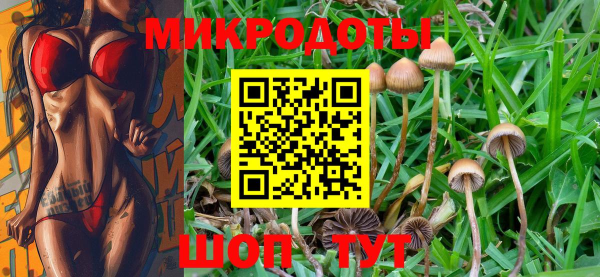 Псилоцибиновые грибы GOLDEN TEACHER Братск