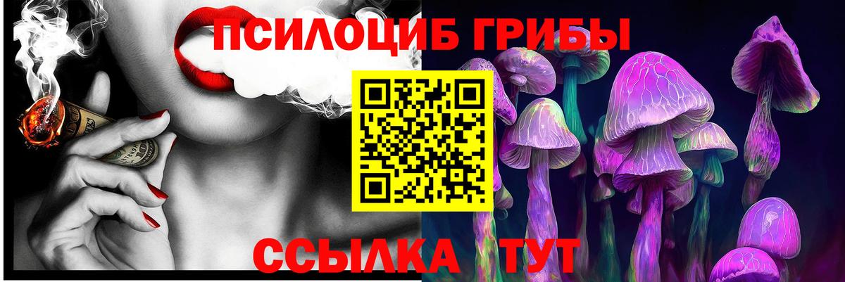 купить наркотики цена  Псилоцибиновые грибы GOLDEN TEACHER  Вход с VPN  Братск 
