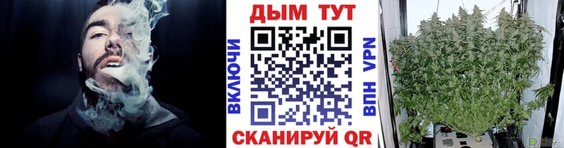 ссылка на мегу маркетплейс  Братск  Бошки Шишки ГИДРОПОН 